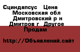 Сциндапсус › Цена ­ 150 - Московская обл., Дмитровский р-н, Дмитров г. Другое » Продам   